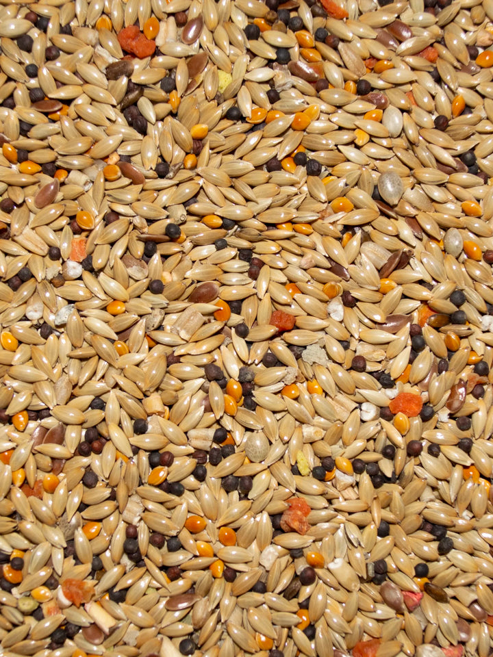 VM211040406-Volkman-Avian-Science-Super-Canary-Food-4-lb-feed