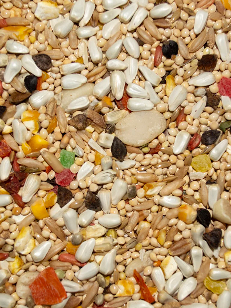 VM213040406-Volkman-Avian-Science-Super-Cockatiel-No-Sunflower-Bird-Food-4-lb-feed