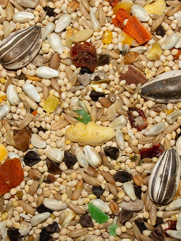 VM215040406-Volkman-Avian-Science-Super-Cockatiel-With-Sunflower-Bird-Food-4-lb-feed