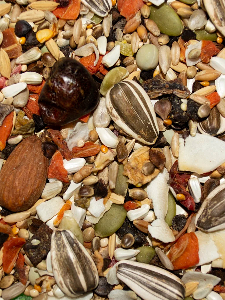 VM217040406-Volkman-Avian-Science-Super-Eclectus-Bird-Food-4-lb-feed