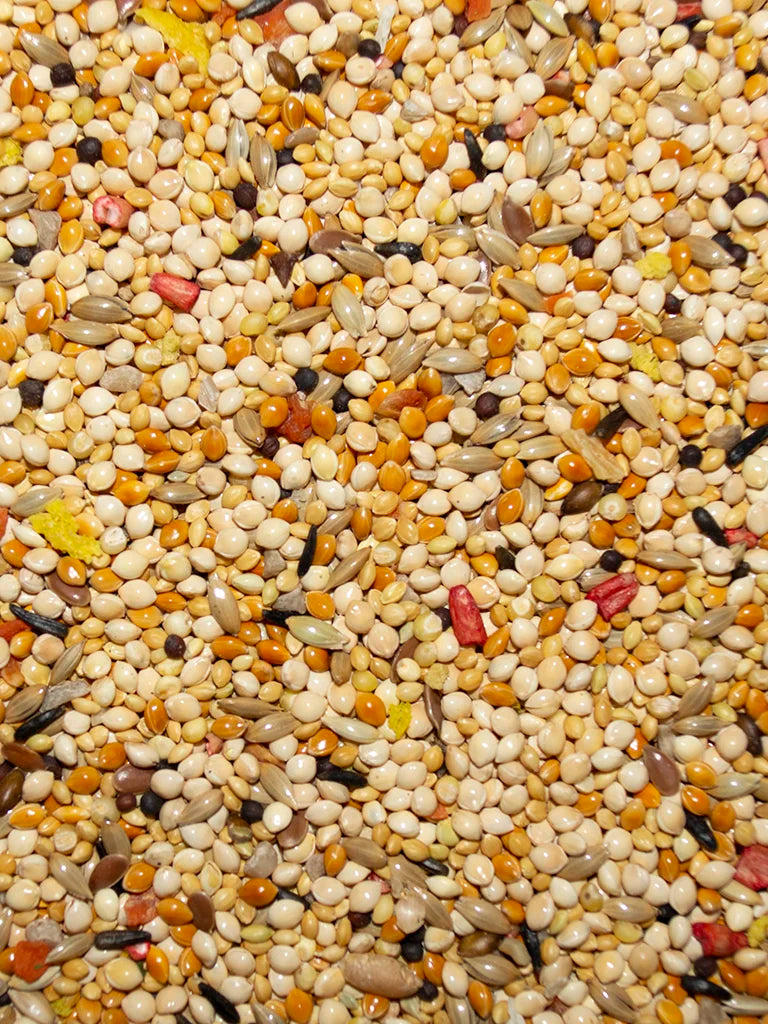 VM219040406-Volkman-Avian-Science-Super-Finch-Food-4-lb-feed