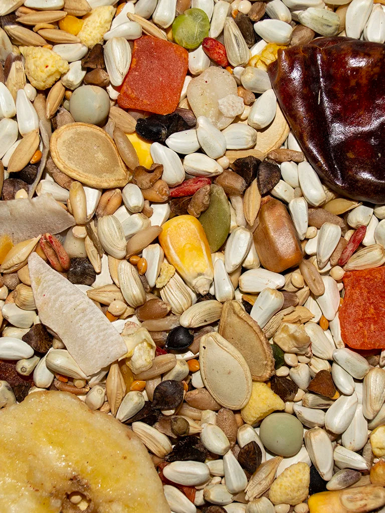 VM221040406-Volkman-Avian-Science-Super-Hookbill-Food-4-lb-feed