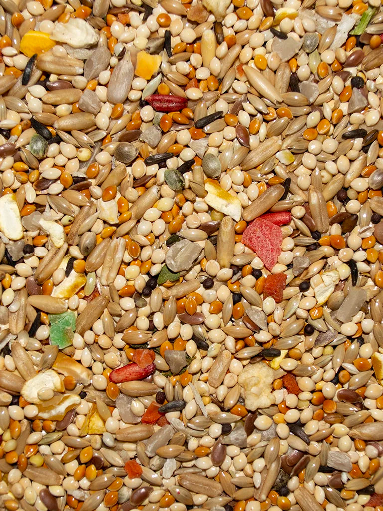 VM227040406-Volkman-Avian-Science-Super-Parakeet-Food-4-lb-feed