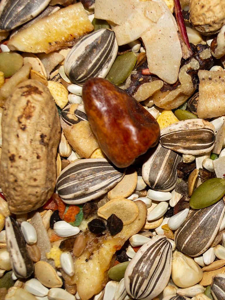 VM229040406-Volkman-Avian-Science-Super-Parrot-Food-4-lb-feed