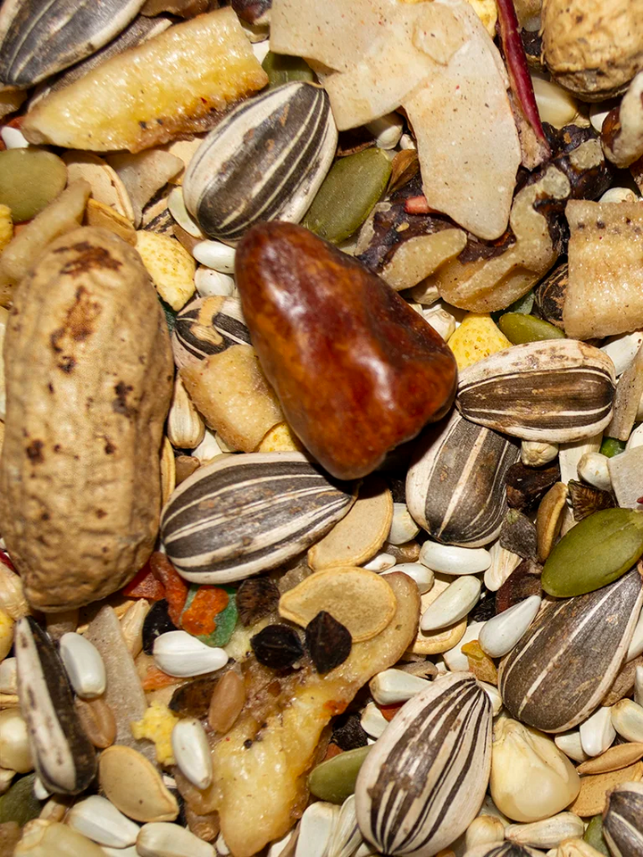 VM229040406-Volkman-Avian-Science-Super-Parrot-Food-4-lb-feed