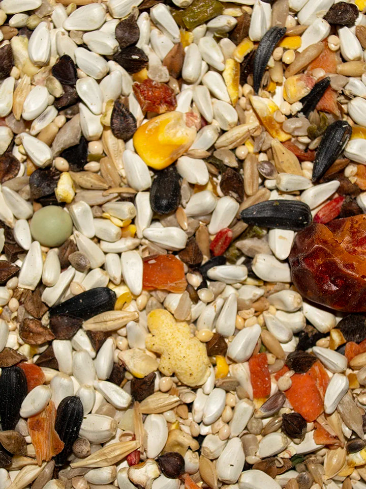 VM231040406-Volkman-Avian-Science-Super-Parrotlet-Food-4-lb-feed