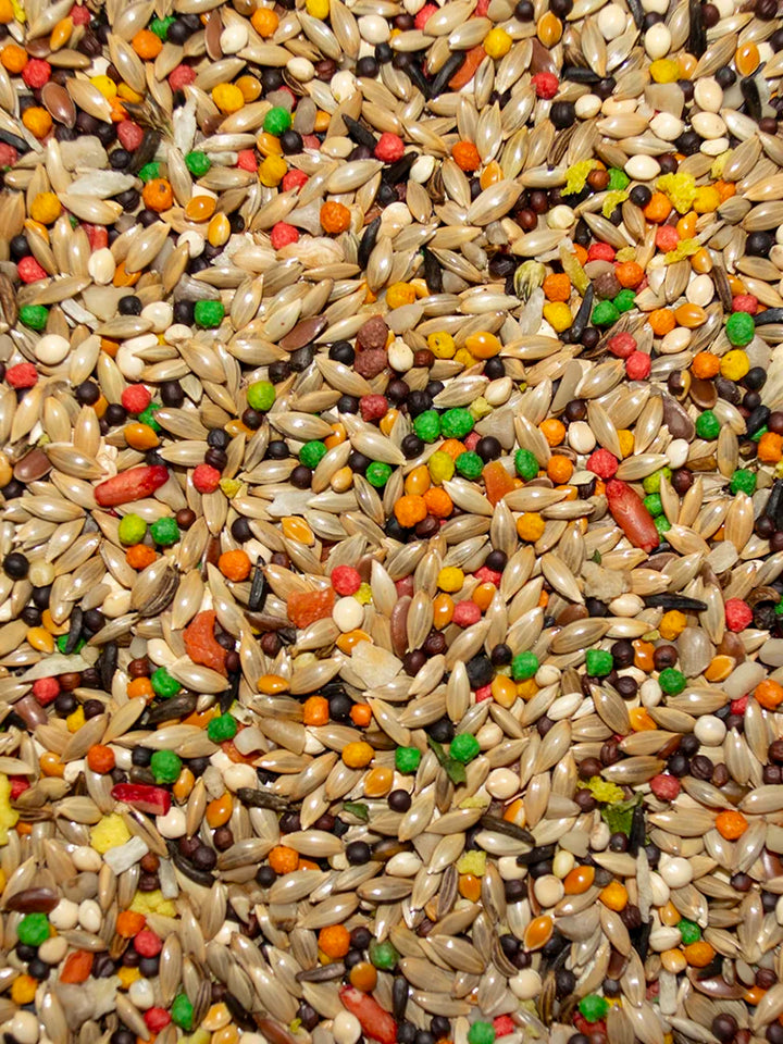 VM610040406-Volkman-Featherglow-Canary-Finch-Bird-Food-4-lb-feed