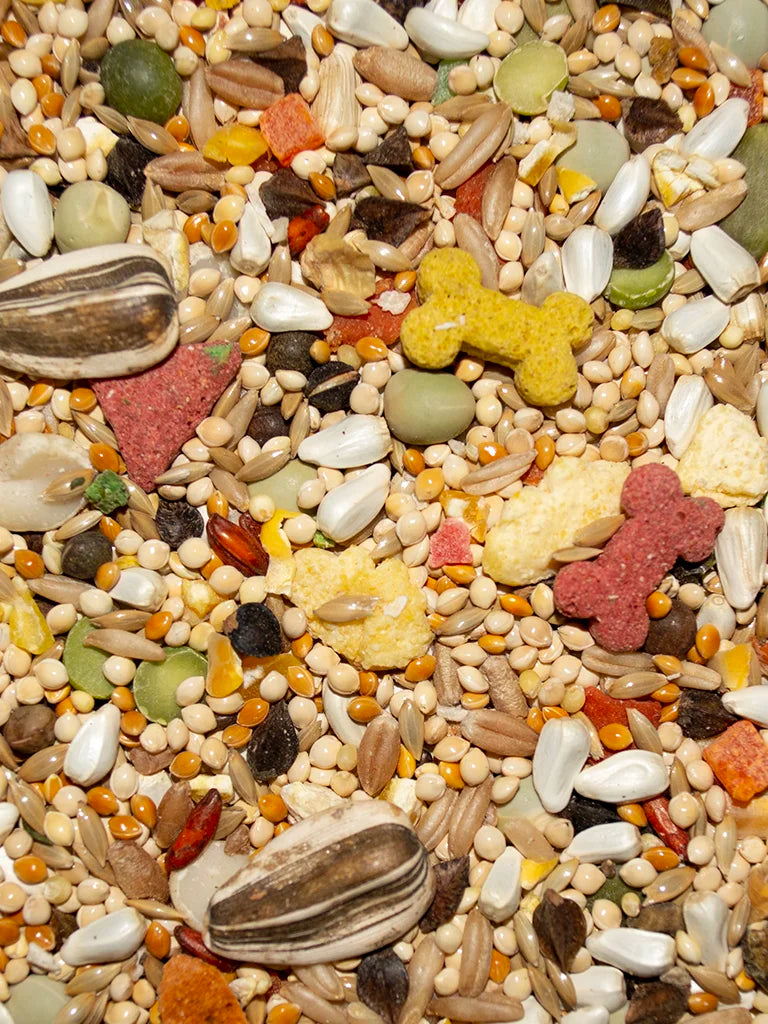 VM613040406-Volkman-Featherglow-Small-Hookbill-Bird-Food-4-lb-feed