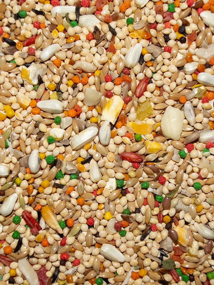 VM617040406-Volkman-Featherglow-Parakeet-Bird-Food-4-lb-feed