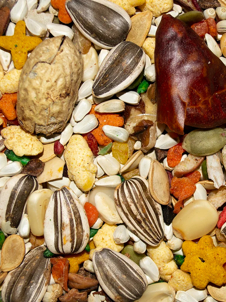 VM625040406-Volkman-Featherglow-Large-Parrot-Bird-Food-4-lb-feed