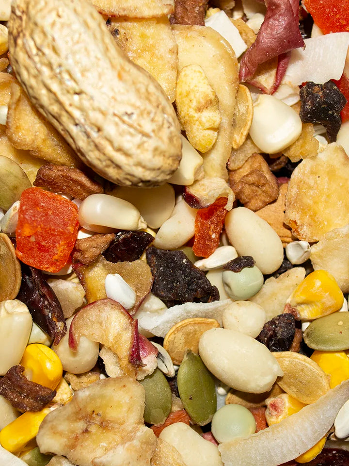 VM627040406-Volkman-Featherglow-Parrot-Treat-Bird-Food-4-lb-feed