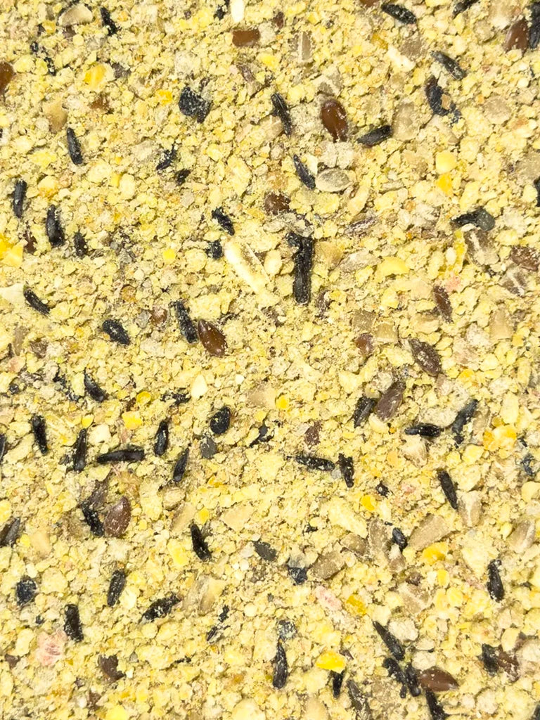 VM952020206-Volkman-Petamine-Nestling-Formula-Bird-Food-Supplement-2-lb-feed