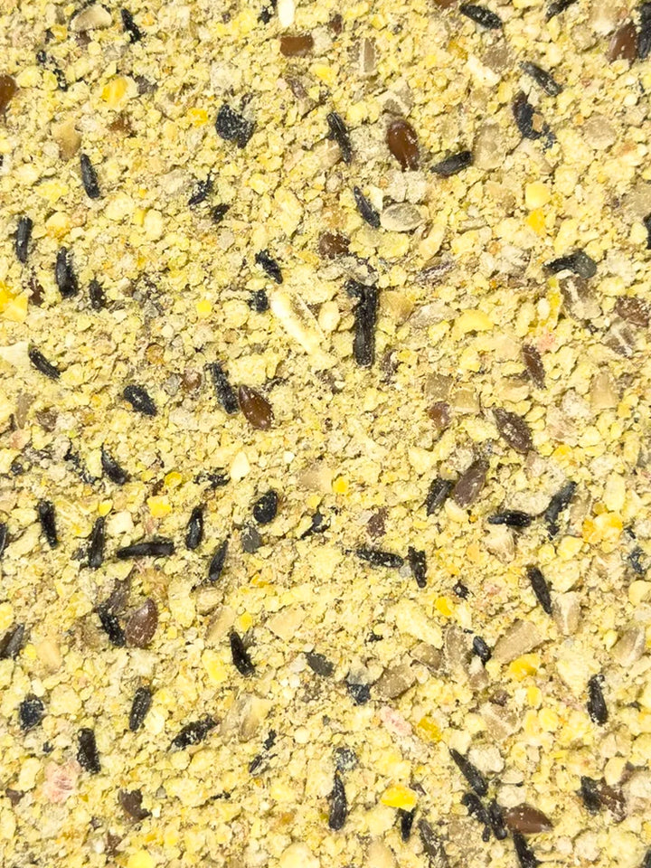 VM952020206-Volkman-Petamine-Nestling-Formula-Bird-Food-Supplement-2-lb-feed