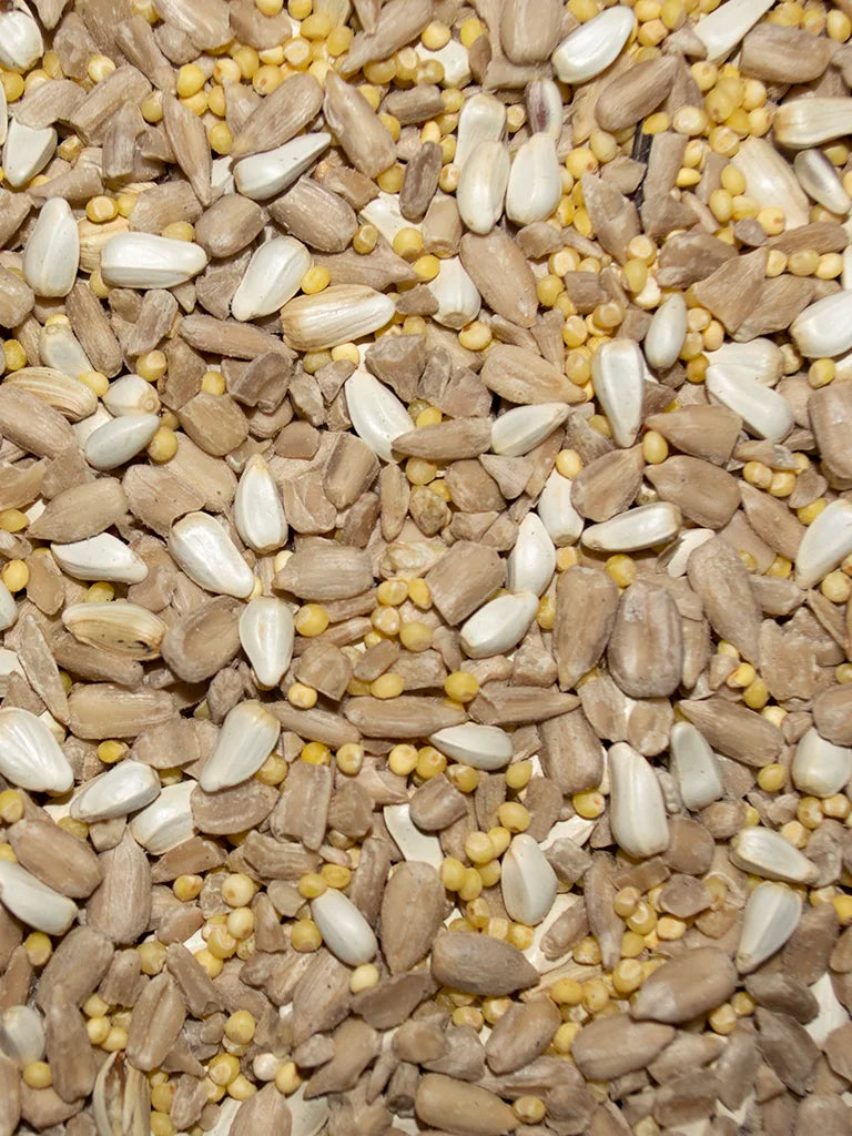 Close-up of a mix of seeds including sunflower seeds, pumpkin seeds, and others.