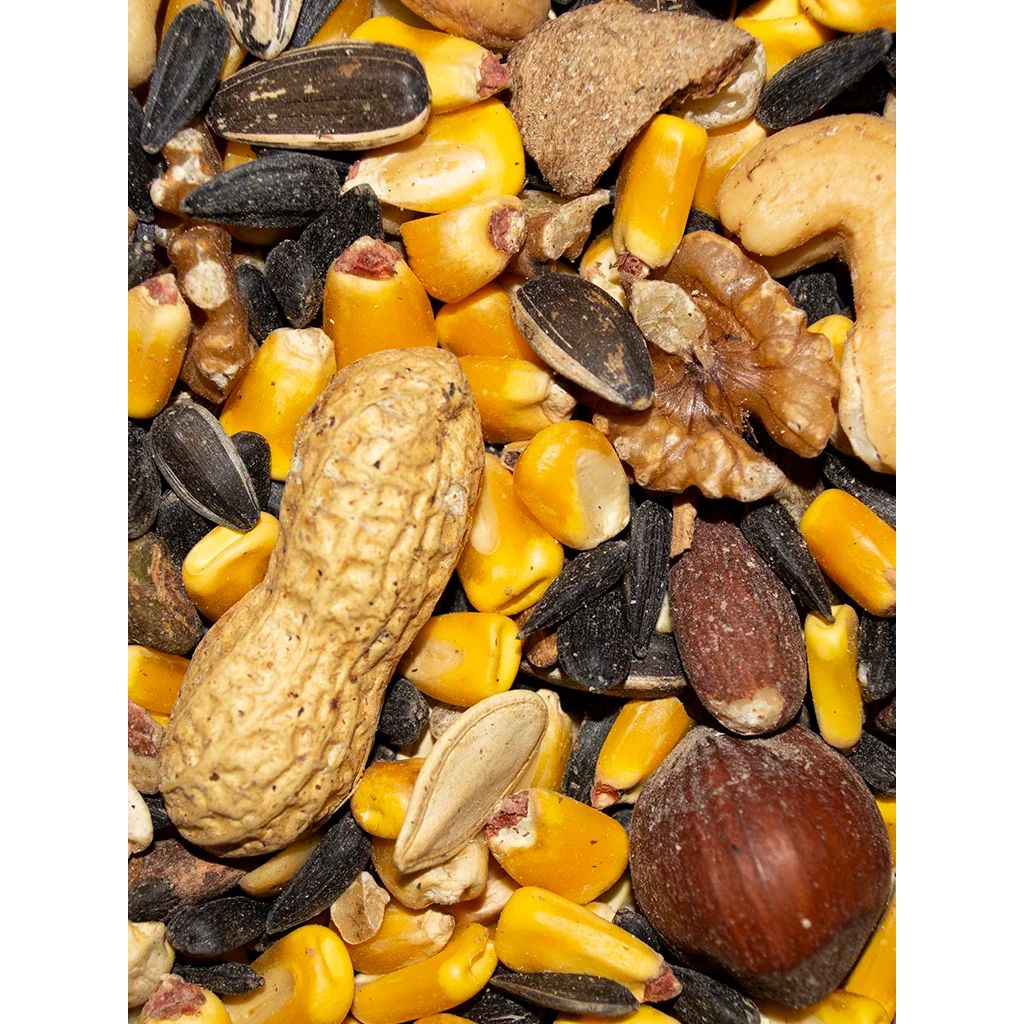 Assorted bird seed mix with peanuts, sunflower seeds, and corn on a white background