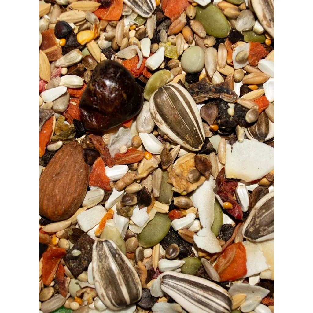 Volkman Avian Science Super Eclectus Bird Food, 20 lb - Assorted bird seed mix including sunflower seeds, almonds, and other seeds.