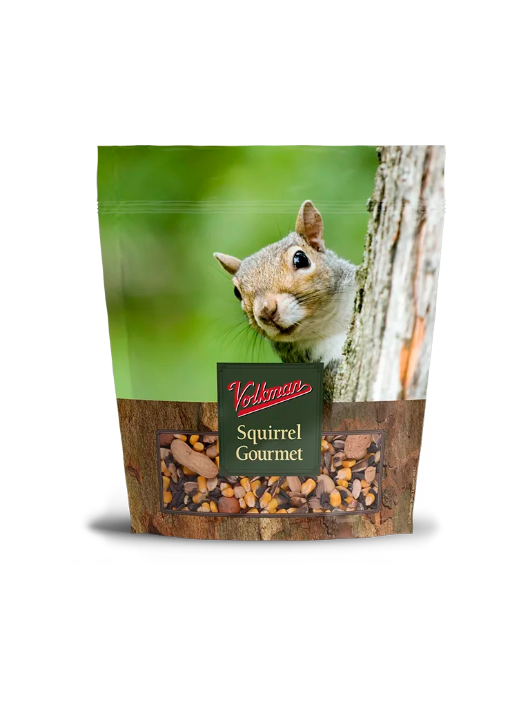 Bag of Volkman Squirrel Gourmet food with a squirrel on the label against a green background