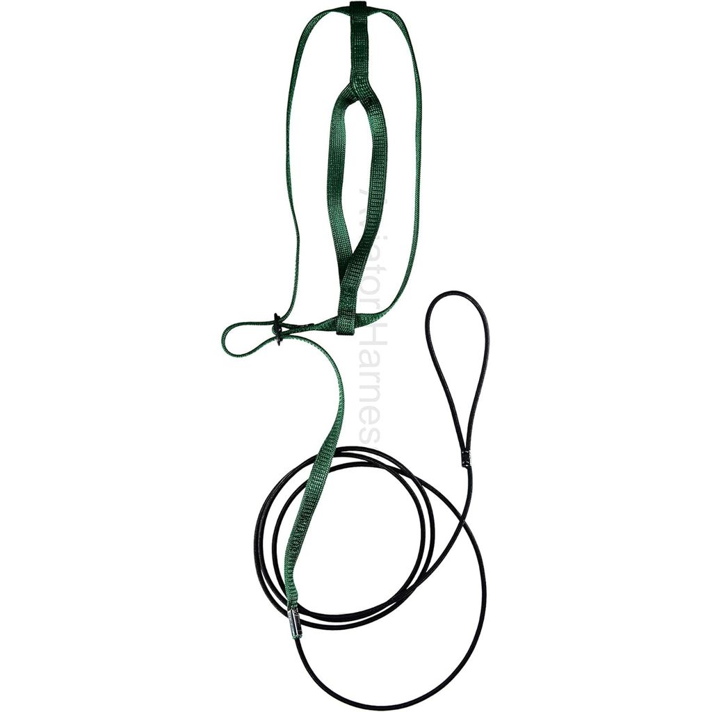 Green Aviator harness and leash set on a white background