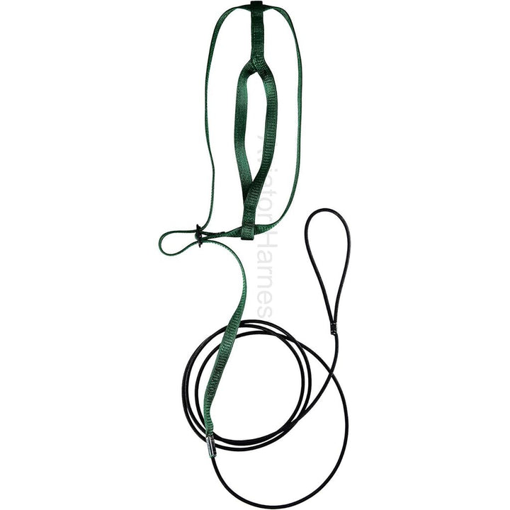 Green Aviator harness and leash set on a white background