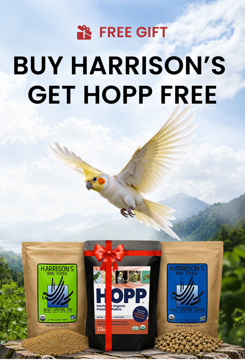 collection mobile banner