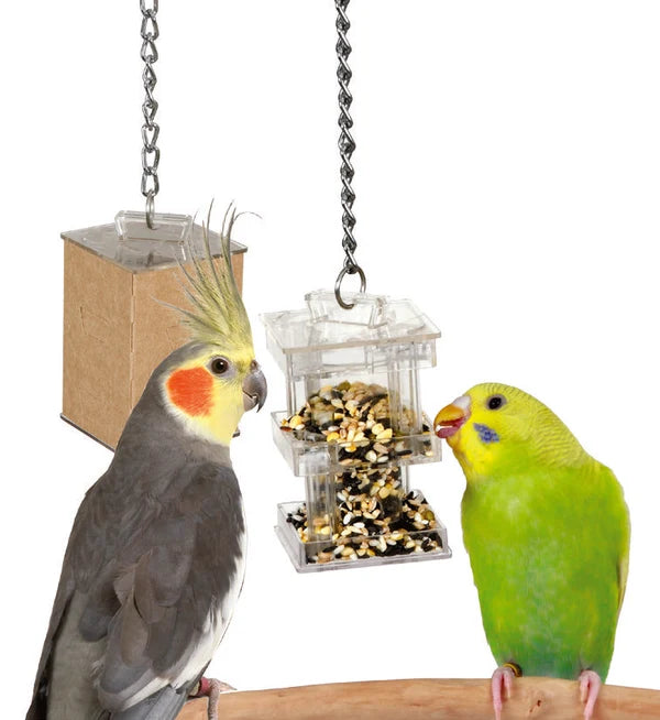 Caitec Hide Away Foraging Box Feeder for Birds