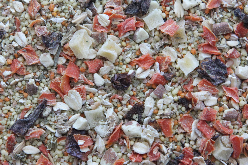 A close-up top-down view of a mixed bird seed blend containing beige grains, white flakes, and red-orange dried fruit pieces.