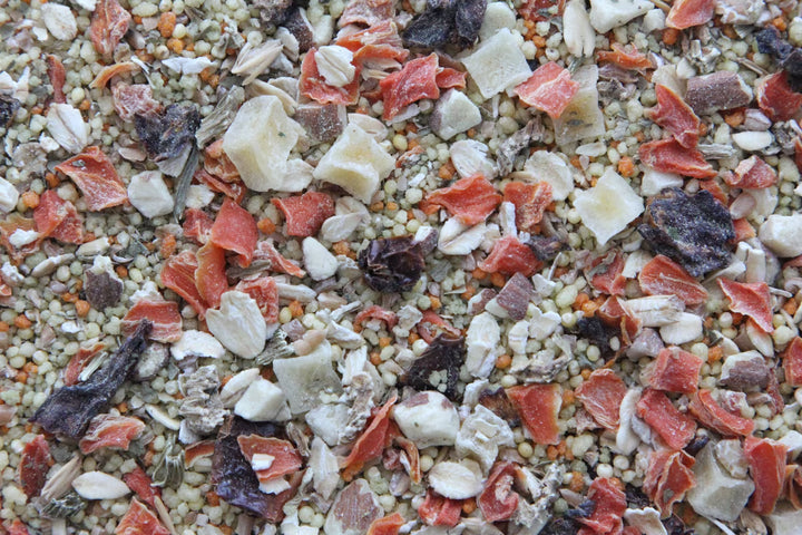 A close-up top-down view of a mixed bird seed blend containing beige grains, white flakes, and red-orange dried fruit pieces.