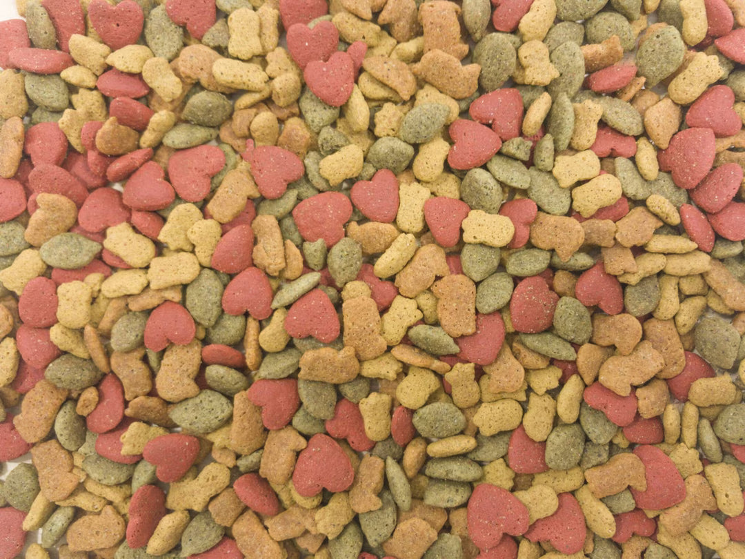 A close-up, top-down view of multicolored dog kibble, featuring small heart-shaped pieces in red, tan, and olive green.