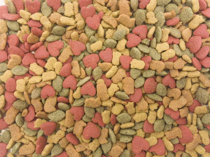 A close-up, top-down view of multicolored dog kibble, featuring small heart-shaped pieces in red, tan, and olive green.
