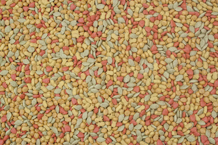 A close-up, top-down view of mixed pet food kibble, featuring beige and light brown kibble pieces interspersed with small pinkish-red and pale green pieces.
