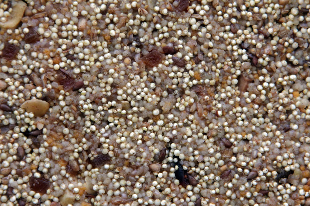 A close-up texture shot of a mixed grain blend containing small white millet-like grains, brown and tan seeds, and a few dark black specks, filling the entire frame.