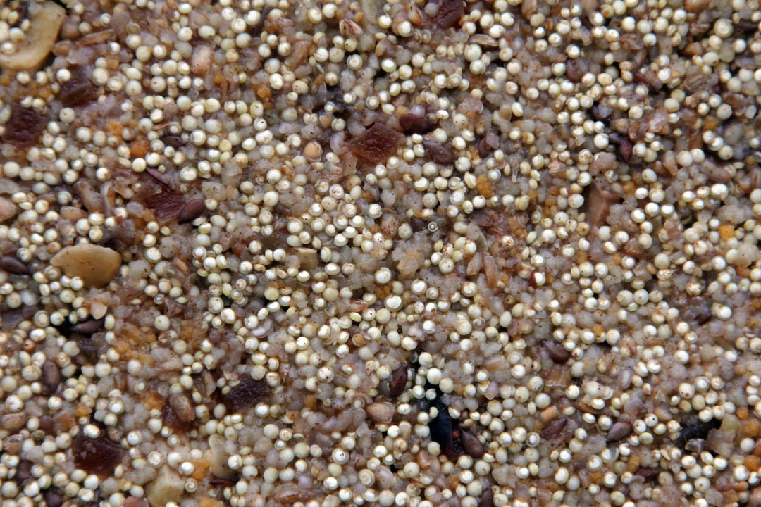 A close-up texture shot of a mixed grain blend containing small white millet-like grains, brown and tan seeds, and a few dark black specks, filling the entire frame.
