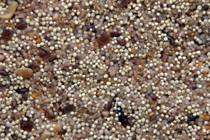 A close-up texture shot of a mixed grain blend containing small white millet-like grains, brown and tan seeds, and a few dark black specks, filling the entire frame.