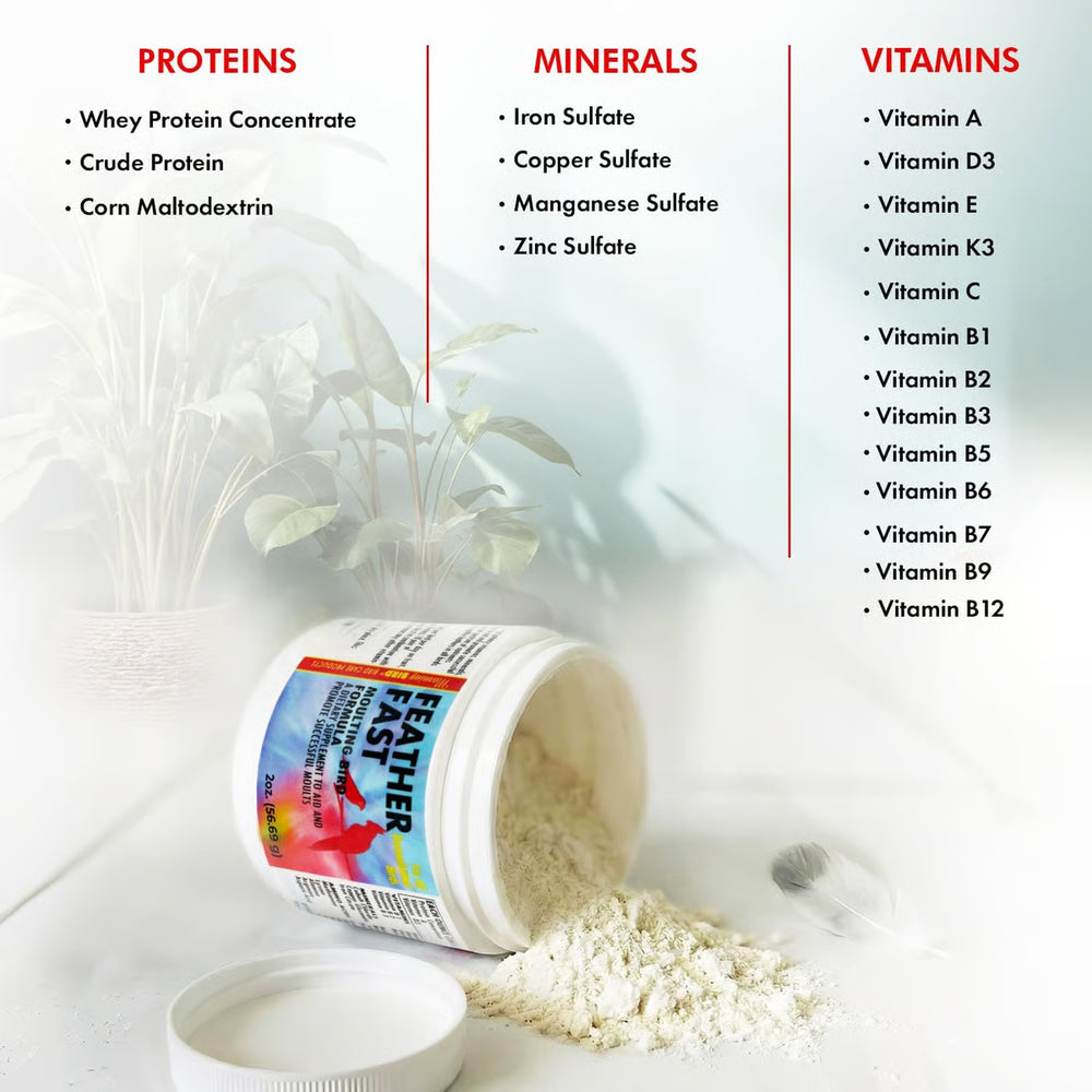 Description of the ingredients used in Morning Bird Feather Fast Supplement, 4.5 oz.