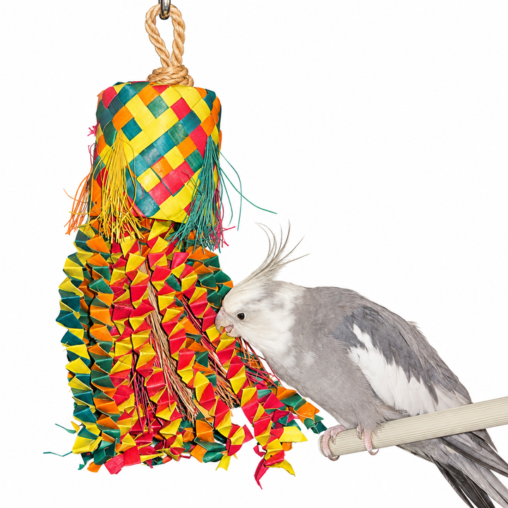 A gray and white cockatoo perched on a wooden dowel next to a colorful woven hanging bird toy with tinsel fringe, isolated on a white background - Planet Pleasures Octopus Pinata Bird Toy - Medium