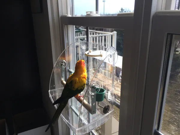 Caitec Bird Window Play Center