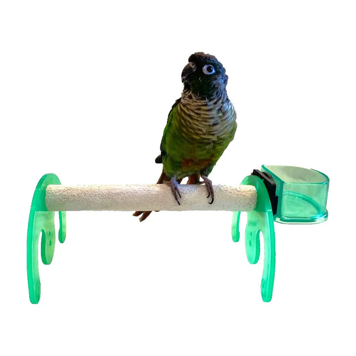 A green and brown parrot perched on a Polly's Pet Mini Bird Stand / Rocker - Extra Small on a white background.