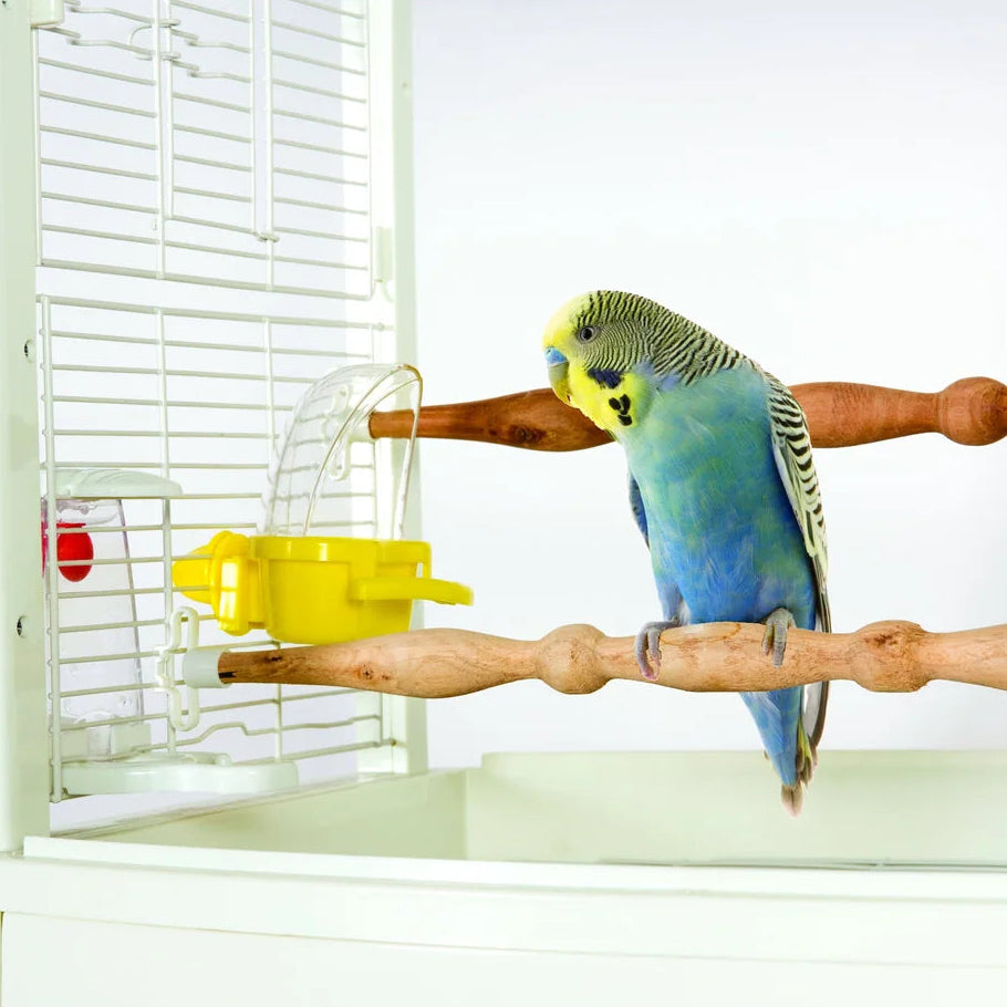 Caitec Cage Mounted Hooded Bird Cup – Small