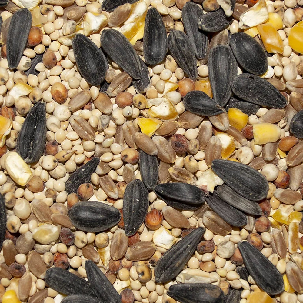 Volkman Western Delight Wild Bird Food Seed Mix, 10lb
