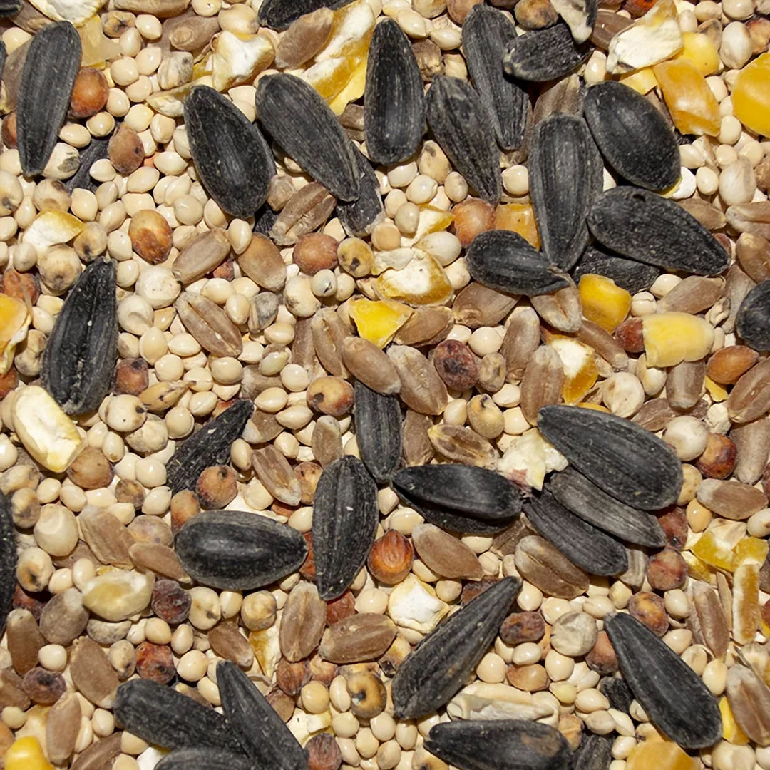 Volkman Western Delight Wild Bird Food Seed Mix, 5lb